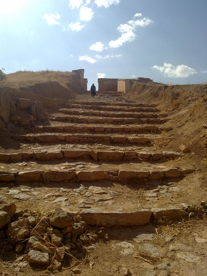 تپه زیویه