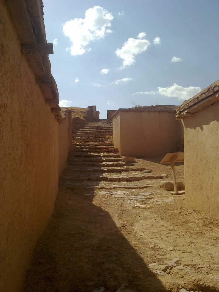تپه زیویه