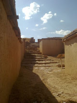 تپه زیویه