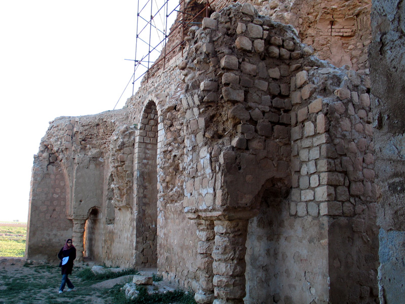 کاخ سروستان