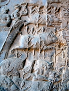 شکارگاه تاق بستان