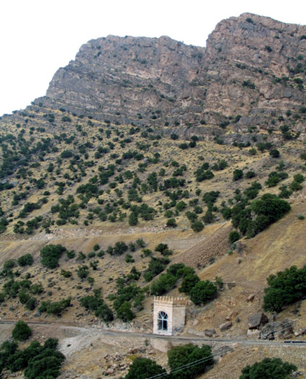 تاق گرا